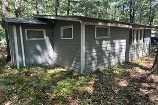 9655 S Beechnut Ave, Baldwin, MI 49304 - Photo 3