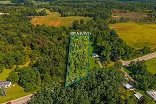 13000 US Hwy 12, Brooklyn, MI 49230 - Photo 1