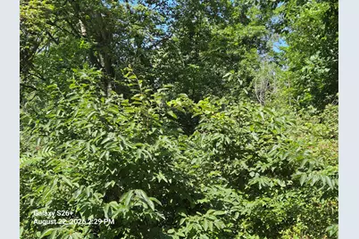 3079 Pershing Drive, Coloma, MI 49038 - Photo 5