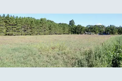 11276 N Pine Grove Road NE, Vestaburg, MI 48891 - Photo 65