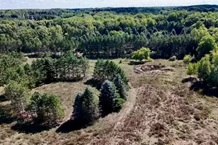 11276 N Pine Grove Road NE, Vestaburg, MI 48891 - Photo 53