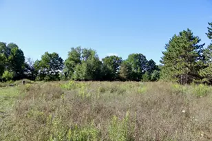 11276 N Pine Grove Road NE, Vestaburg, MI 48891 - Photo 67