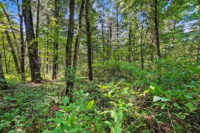 00000 1 Mile Road, Morley, MI 49336 - Photo 5