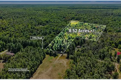 00000 1 Mile Road, Morley, MI 49336 - Photo 1