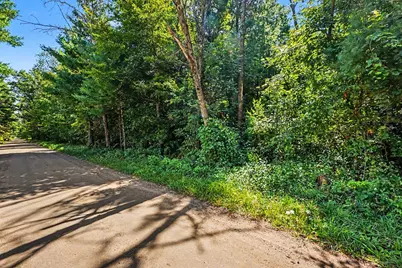 00000 1 Mile Road, Morley, MI 49336 - Photo 3