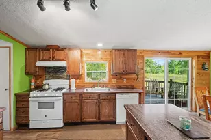 23410 N County Line Rd, Newaygo, MI 49337 - Photo 17