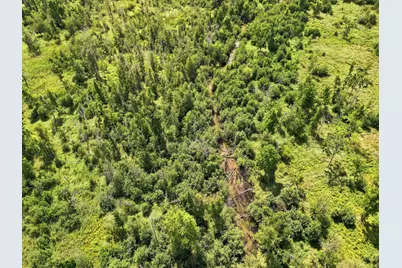 Vl W Woodruff Road, Weidman, MI 48893 - Photo 9