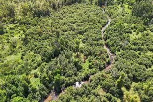 Vl W Woodruff Rd, Weidman, MI 48893 - Photo 1