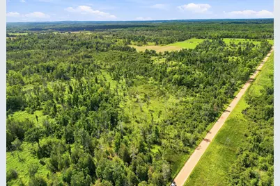 Vl W Woodruff Road, Weidman, MI 48893 - Photo 11
