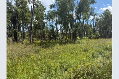 Vl W Woodruff Road, Weidman, MI 48893 - Photo 19