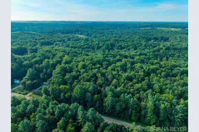 5 Acres 128th Avenue, Allegan, MI 49010 - Photo 3