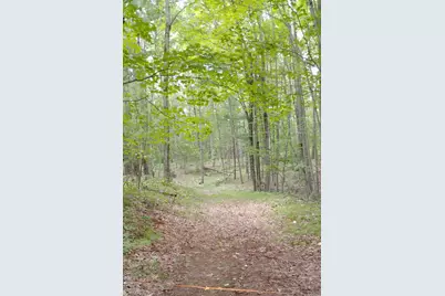 3+/- Acres S Frank Smith Road, Chase, MI 49623 - Photo 1