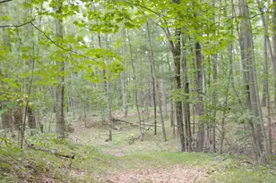 3+/- Acres S Frank Smith Rd, Chase, MI 49623 - Photo 1
