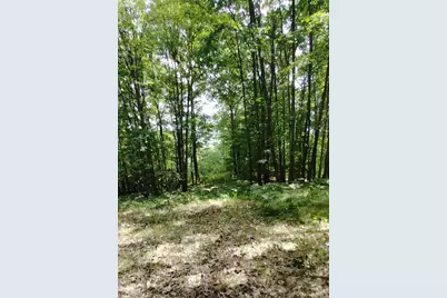 3+/- Acres S Frank Smith Road, Chase, MI 49623 - Photo 9