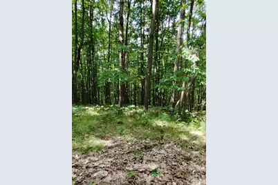3+/- Acres S Frank Smith Road, Chase, MI 49623 - Photo 11