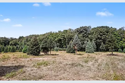 8089 Squires Street NE #Parcel A, Rockford, MI 49341 - Photo 5