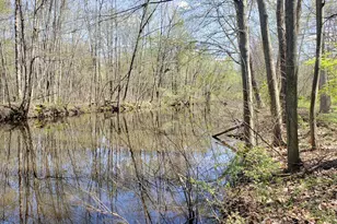 5295 N Watervliet Rd, Watervliet, MI 49098 - Photo 1