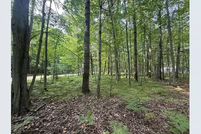 6804 Maple Court, Stanwood, MI 49346 - Photo 13