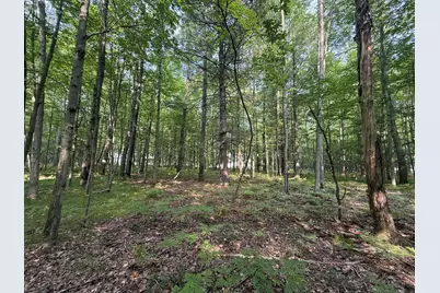6804 Maple Court, Stanwood, MI 49346 - Photo 11