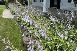 5580 Textile Rd, Ypsilanti, MI 48197 - Photo 91
