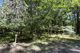 12060 Chinook Dr, Stanwood, MI 49346 - Photo 1