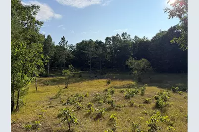 8877 9 Mile Bridge Road, Manistee, MI 49660 - Photo 5
