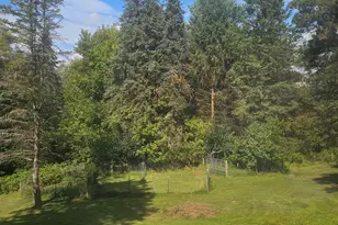 6404 Shearer Rd, Greenville, MI 48838 - Photo 3