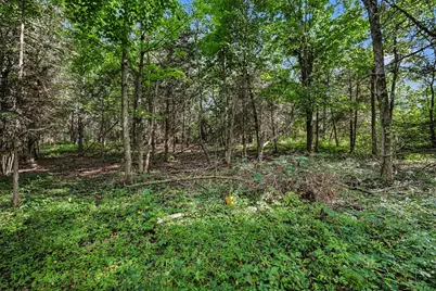 V/L E Riverside Dr, Lyons, MI 48851 - Photo 21
