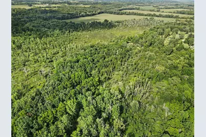 V/L E Riverside Dr, Lyons, MI 48851 - Photo 15