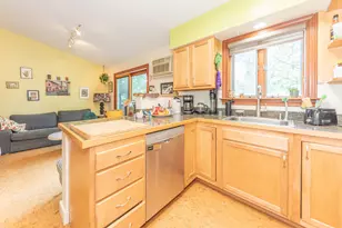1013 Fountain St, Ann Arbor, MI 48103 - Photo 17