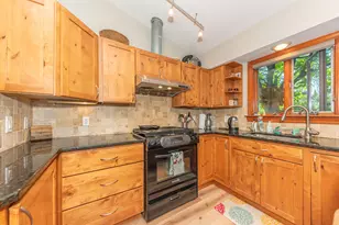 1013 Fountain St, Ann Arbor, MI 48103 - Photo 49