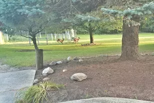 899 E 8th St, White Cloud, MI 49349 - Photo 73