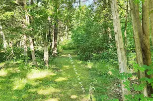 899 E 8th St, White Cloud, MI 49349 - Photo 61