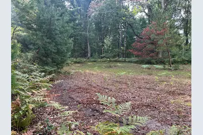 Beaver Road, Bitely, MI 49309 - Photo 3