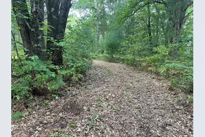 Beaver Road, Bitely, MI 49309 - Photo 5