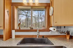 17099 Sierra Dr, Big Rapids, MI 49307 - Photo 23