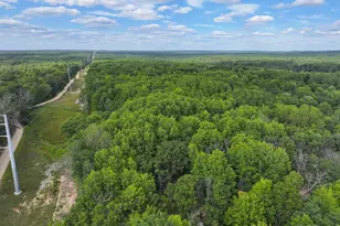 V/L 13 06A E 84th St, Reed City, MI 49677 - Photo 1
