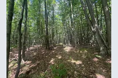 V/L 13.06A E 84th St, Reed City, MI 49677 - Photo 23