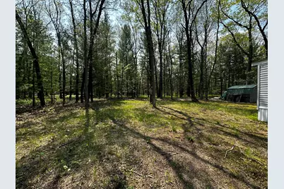 1627 W Delong Drive, Baldwin, MI 49304 - Photo 35