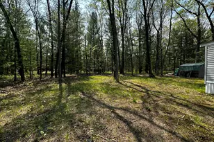 1627 W Delong Dr, Baldwin, MI 49304 - Photo 35