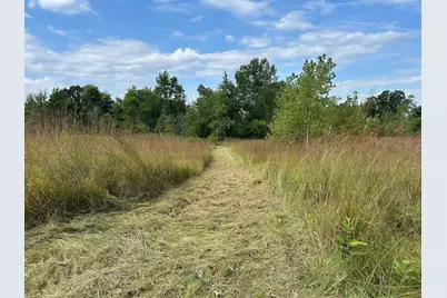 Church Road, Hillsdale, MI 49242 - Photo 5