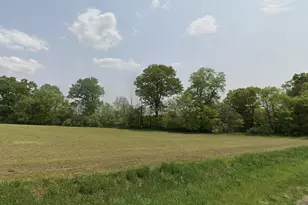 0 V/L Irving Rd, Middleville, MI 49333 - Photo 1