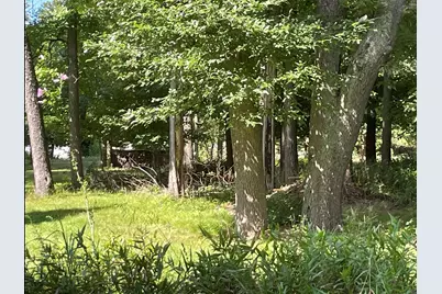 0 Maple Road, Sawyer, MI 49125 - Photo 1