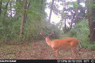 8972 College Ave, Jackson, MI 49201 - Photo 3