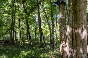 8972 College Ave, Jackson, MI 49201 - Photo 79