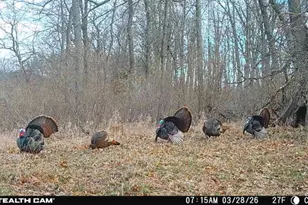 8972 College Ave, Jackson, MI 49201 - Photo 103