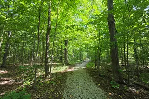 7538 Wood Brook Rd, Ann Arbor, MI 48103 - Photo 27