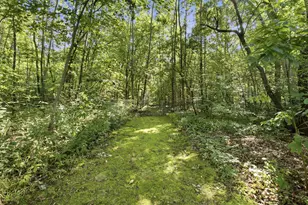 3056 S Wolf Lake Rd, Fruitport, MI 49415 - Photo 37