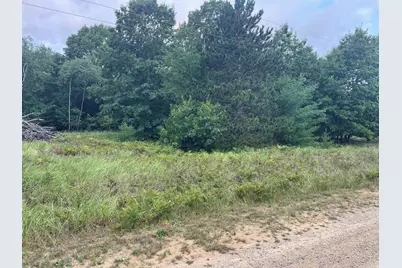 6367 N Dune Grass Trail, Hart, MI 49420 - Photo 3