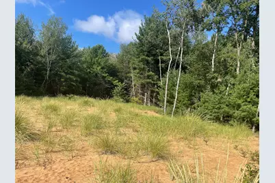 6367 N Dune Grass Trail, Hart, MI 49420 - Photo 1
